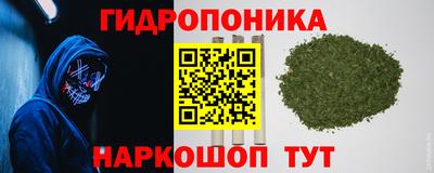 дживик Сланцы