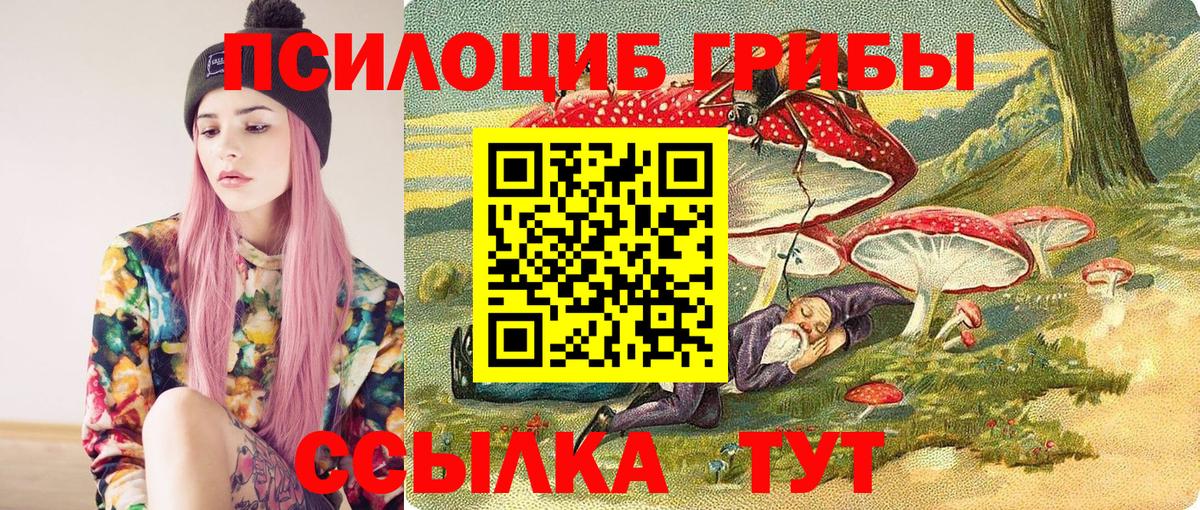 где можно купить наркотик  Вход с VPN  Рославль  Галлюциногенные грибы мицелий  Псилоцибиновые грибы ЛСД 