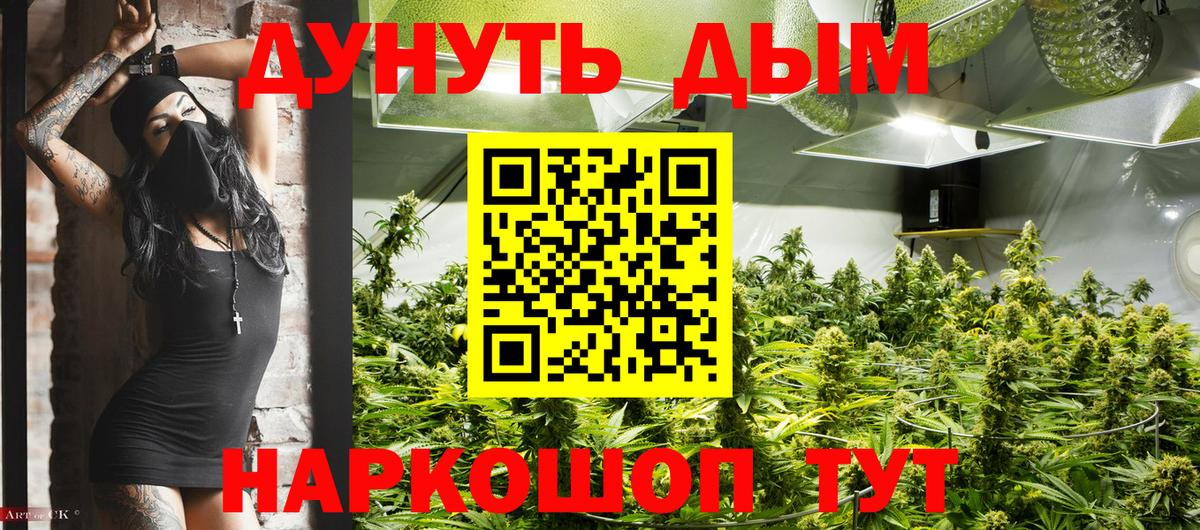 Каннабис индика  Конопля Ganja  Канабис гибрид  Вход с VPN  Рославль 